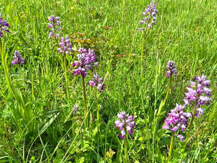 22-05-08 11-08-04 0765